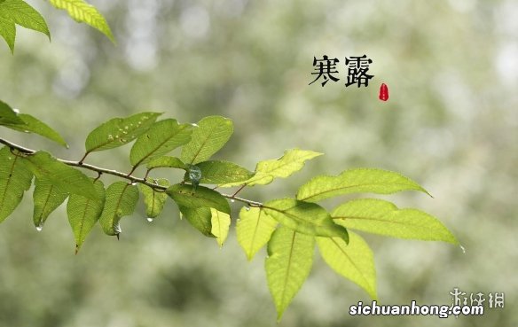 寒露节气壁纸分享 寒露节气壁纸哪里找