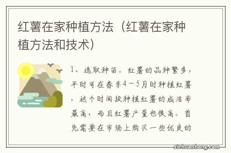 红薯在家种植方法和技术 红薯在家种植方法