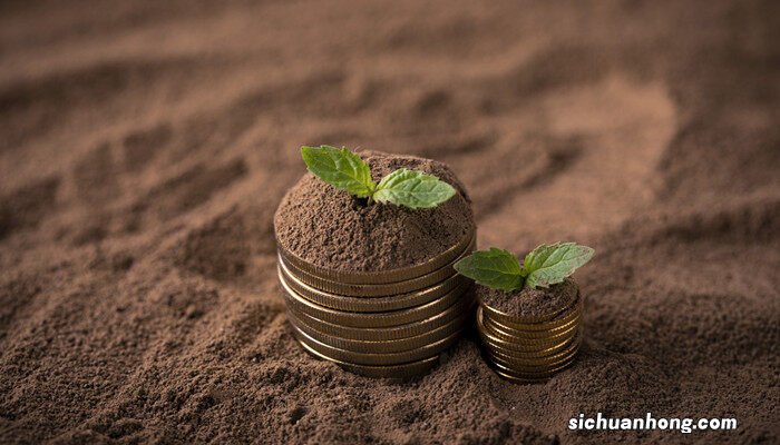 女贞子的繁殖方法电视 女贞子的繁殖方法