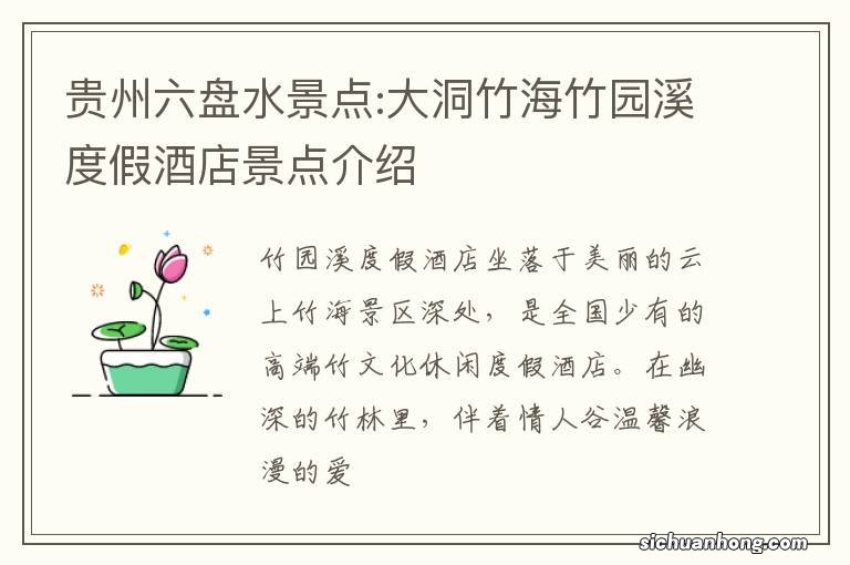 贵州六盘水景点:大洞竹海竹园溪度假酒店景点介绍