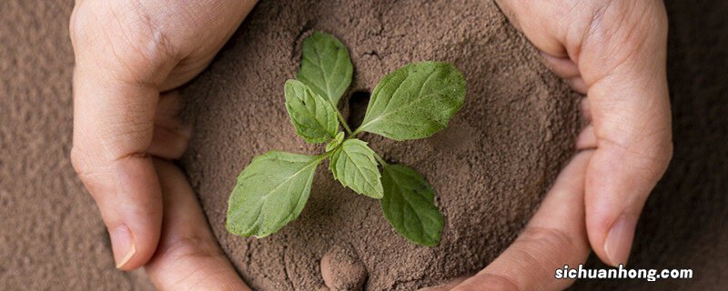 保护组织的种类 保护组织的分布