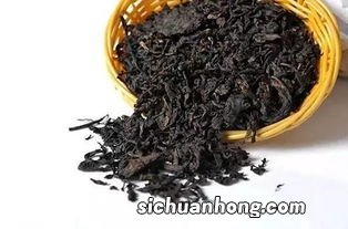 黑茶茶树长什么样