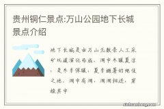 贵州铜仁景点:万山公园地下长城景点介绍