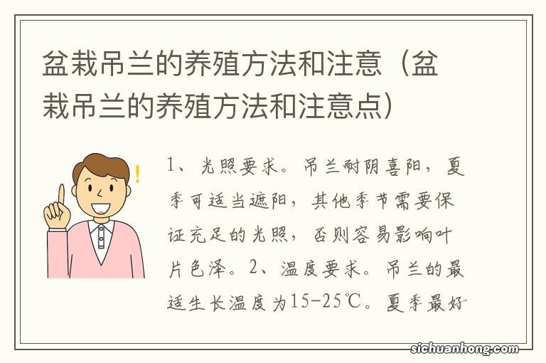 盆栽吊兰的养殖方法和注意点 盆栽吊兰的养殖方法和注意