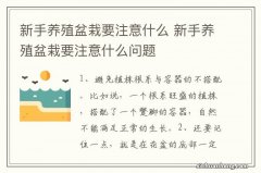 新手养殖盆栽要注意什么 新手养殖盆栽要注意什么问题