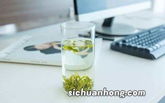 大芽头茶叶是什么品种