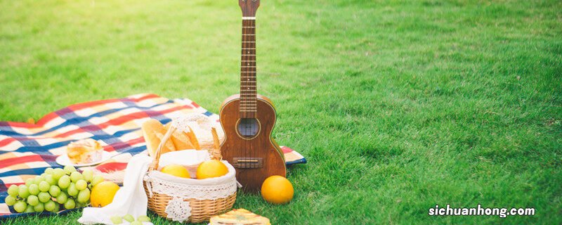 植物大战僵尸猫尾草要种在哪棵植物上 猫尾草要种在哪棵植物上