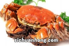 刮油排毒的食物有哪些?吃什么排出身体余毒?