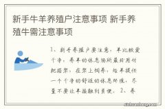 新手牛羊养殖户注意事项 新手养殖牛需注意事项