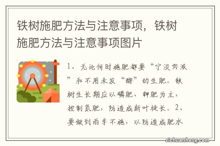 铁树施肥方法与注意事项，铁树施肥方法与注意事项图片