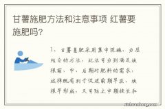 甘薯施肥方法和注意事项 红薯要施肥吗?