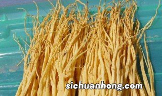 甘肃有什么特产 甘肃有哪些特产