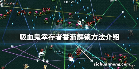 吸血鬼幸存者番茄怎么解锁-吸血鬼幸存者番茄解锁方法介绍