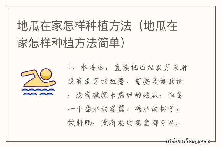地瓜在家怎样种植方法简单 地瓜在家怎样种植方法