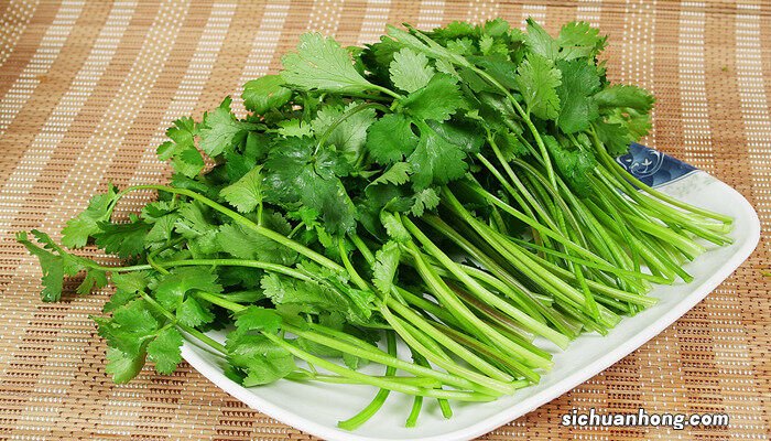 芫荽怎么读 芫荽的种植方法和时间