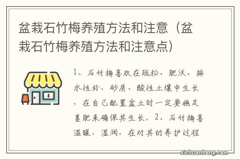 盆栽石竹梅养殖方法和注意点 盆栽石竹梅养殖方法和注意