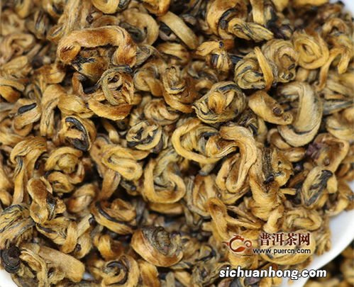 滇红蜜香金螺是什么茶