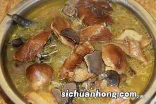 土鸡炖野生菌 要炖多久