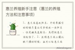 蕙兰的养殖方法和注意事项 惠兰养殖新手注意