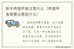 养殖甲鱼需要注意些什么 新手养殖甲鱼注意什么