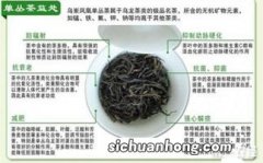 单丛茶有什么好处