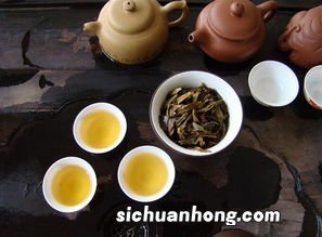 单丛茶什么时间喝