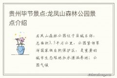 贵州毕节景点:龙凤山森林公园景点介绍