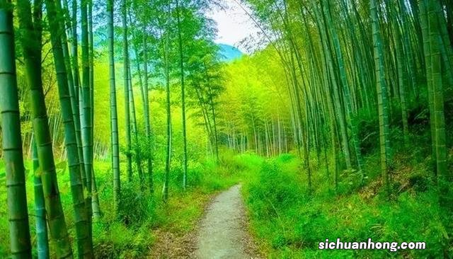 广州从化1天游，徒步古田村至溪头村