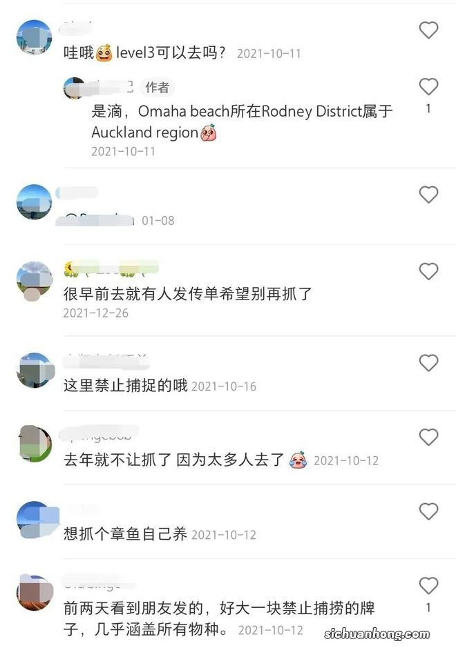 奥克兰附近这处赶海胜地，海星都要被吃完了！当地人警告......