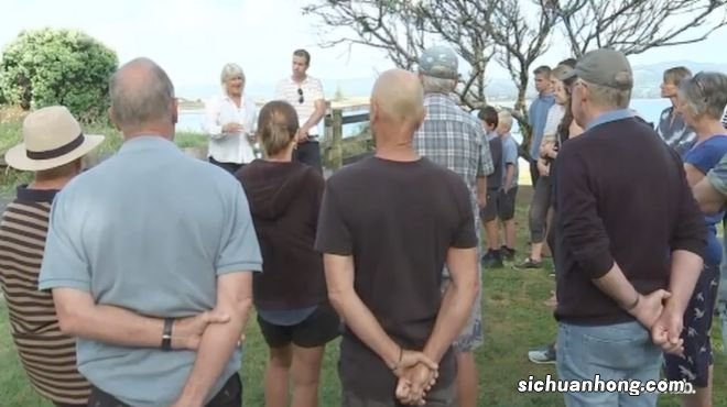 奥克兰附近这处赶海胜地，海星都要被吃完了！当地人警告......