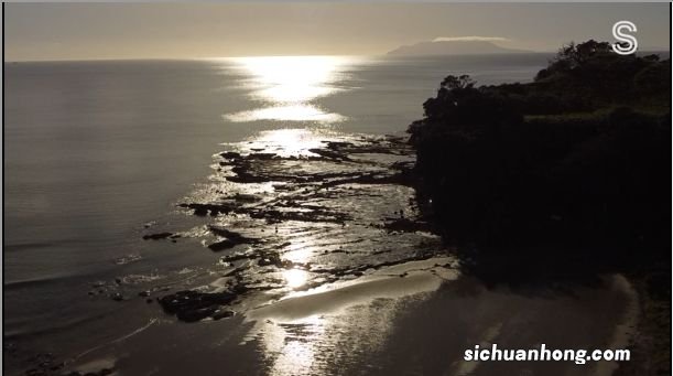 奥克兰附近这处赶海胜地，海星都要被吃完了！当地人警告......