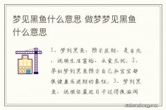 梦见黑鱼什么意思 做梦梦见黑鱼什么意思