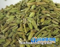 茴香的功效是什么