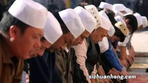 回民为什么不吃自死物