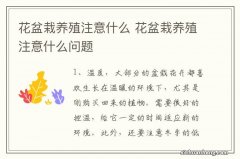 花盆栽养殖注意什么 花盆栽养殖注意什么问题