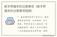 新手养殖羊的注意事项视频 新手养殖羊的注意事项