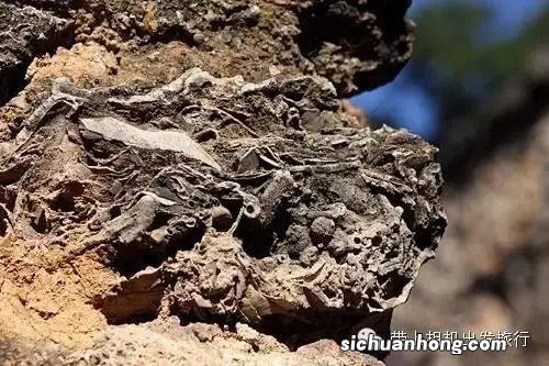 云南传说中的十一大邪地!你敢去玩吗?