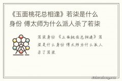 《玉面桃花总相逢》若柒是什么身份 傅太师为什么派人杀了若柒