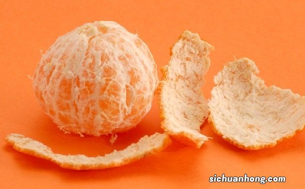 吃什么食物可以防止晕车?防止晕车吃什么食物好?