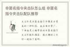 非匿名指令夹击队怎么组 非匿名指令夹击队配队推荐