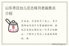 山东枣庄台儿庄古城月老庙景点介绍