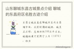 山东聊城东昌古城景点介绍 聊城的东昌府区名胜古迹介绍