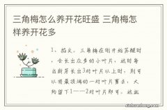 三角梅怎么养开花旺盛 三角梅怎样养开花多