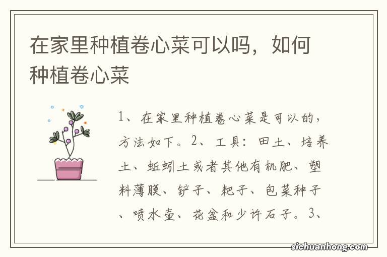 在家里种植卷心菜可以吗，如何种植卷心菜