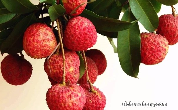 夏季吃荔枝要注意些什么?夏季吃荔枝的注意事项有哪些?