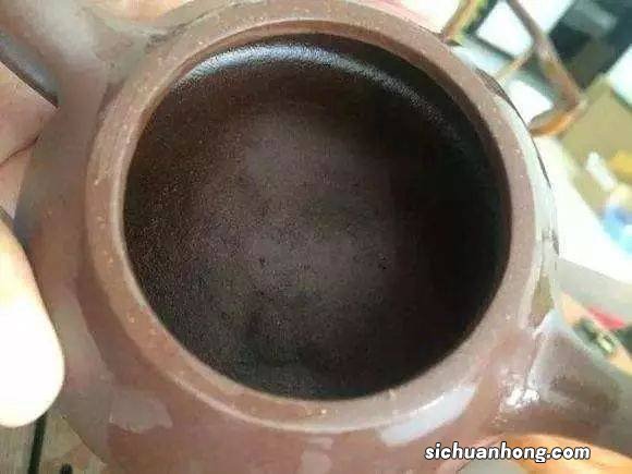 为什么紫砂壶不发霉