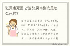 张灵甫死因之谜 张灵甫到底是怎么死的?