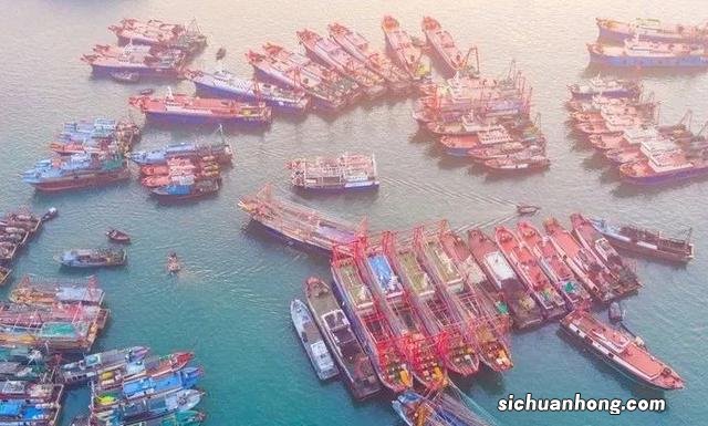 比厦门人少,比三亚更适合养老,只想在这座海边小城赖着不走