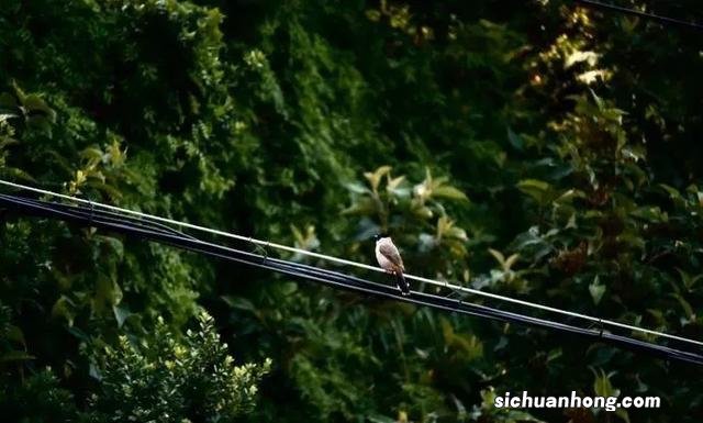 比厦门人少,比三亚更适合养老,只想在这座海边小城赖着不走