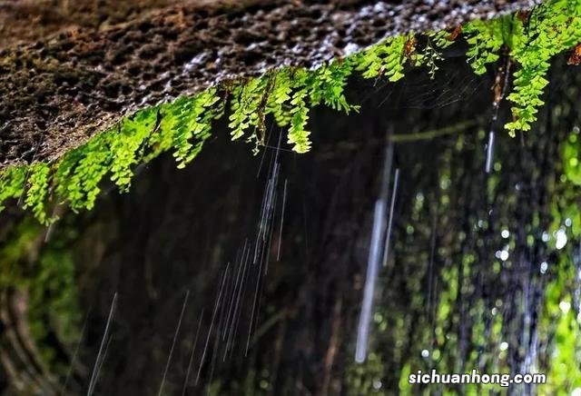 比厦门人少,比三亚更适合养老,只想在这座海边小城赖着不走